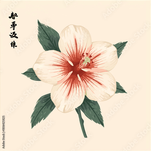 Vector illustration of sumi-e of bellflower