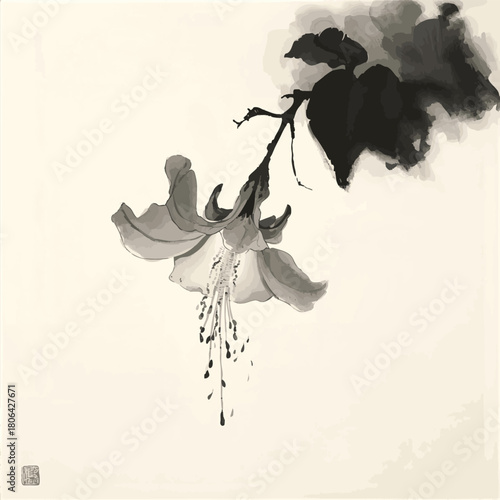Vector illustration of sumi-e of bellflower