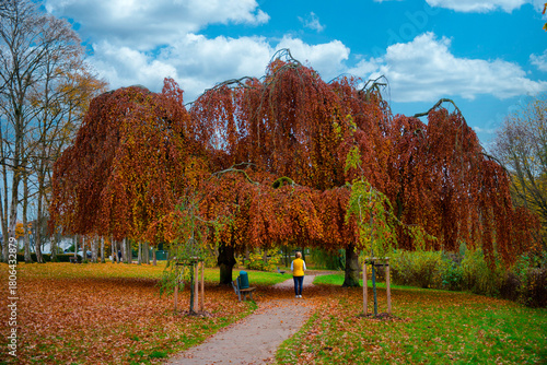 Herbstspaziergang, Stadtpark, Timmendorfer-Strand, Deutschland