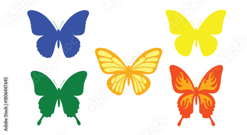 A colorful collection of butterflies displayed in various vibrant shades