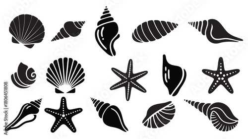 Premium Sea Shell & Starfish Silhouette Vector Collection