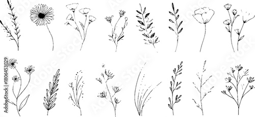 Minimalist line art set of spring floral corner elements for design