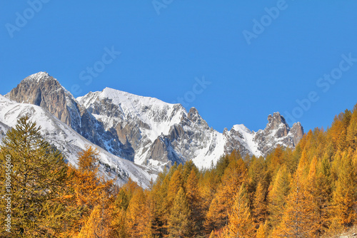 Montagne enneigée et mélèzes en automne 