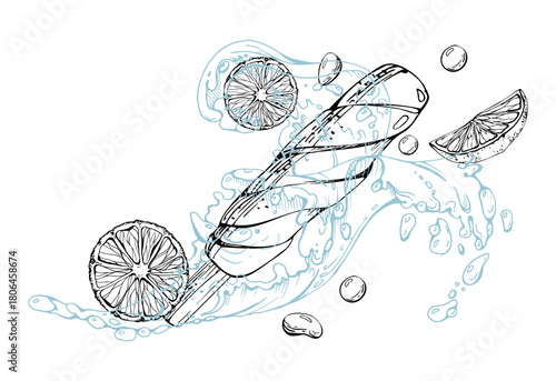 Citrus ice cream stick popsicle with fresh orange lemon slices, splashing water waves, droplets. Vector graphic line illustration hand drawn in ink. Frozen treat decor, cafe signage, product branding