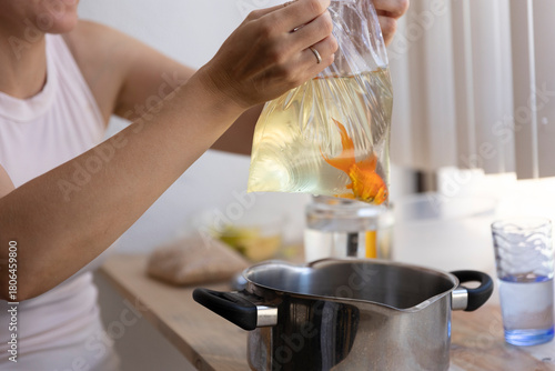 Obraz na płótnie Person holding plastic bag with goldfish acclimating new pet
