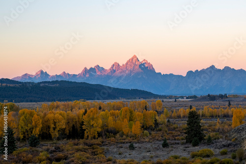 Sunrise Over the Grand Teton Mountains and Meadow
