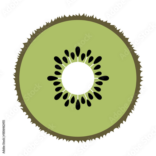 Kiwi fruit cross-section illustration on white background for healthy food concepts