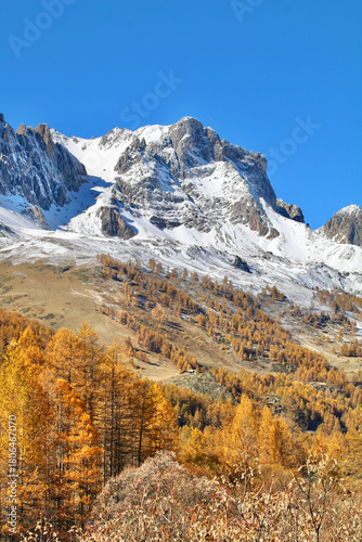 Mélèzes en automne et montagne enneigée