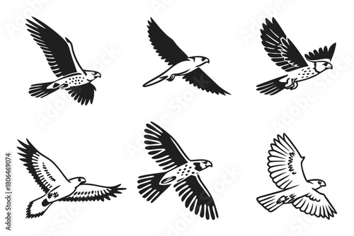 Minimalist kestrel bird icon set in multiple colors