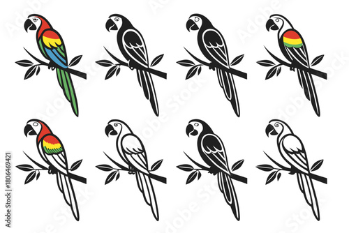 Colorful macaw bird icon set for design projects