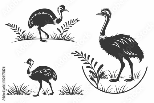 Minimalist emu bird icon set in black and yellow