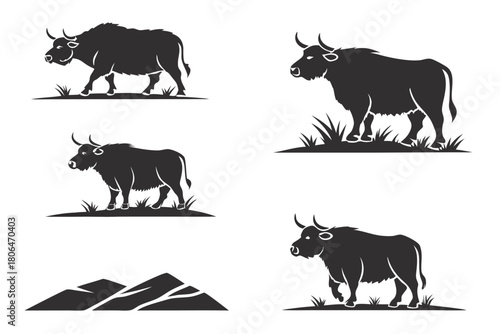 Minimalist highland cow icon set