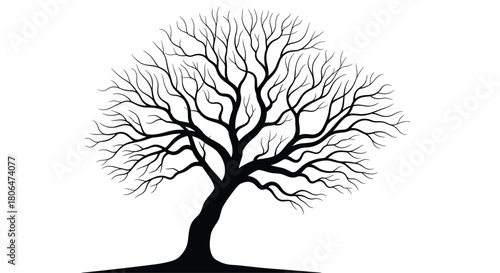 Stark black silhouette of a large, deciduous tree with a thick trunk and an intricate network of bare, leafless branches against a white background.