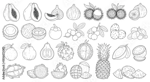 Large collection of exotic tropical fruits rendered in a detailed black and white vintage engraving style, including whole fruits and cross-sections.