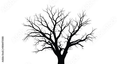 Stark black silhouette of a leafless deciduous tree with a gnarled trunk and a complex network of bare branches, isolated on a white background.