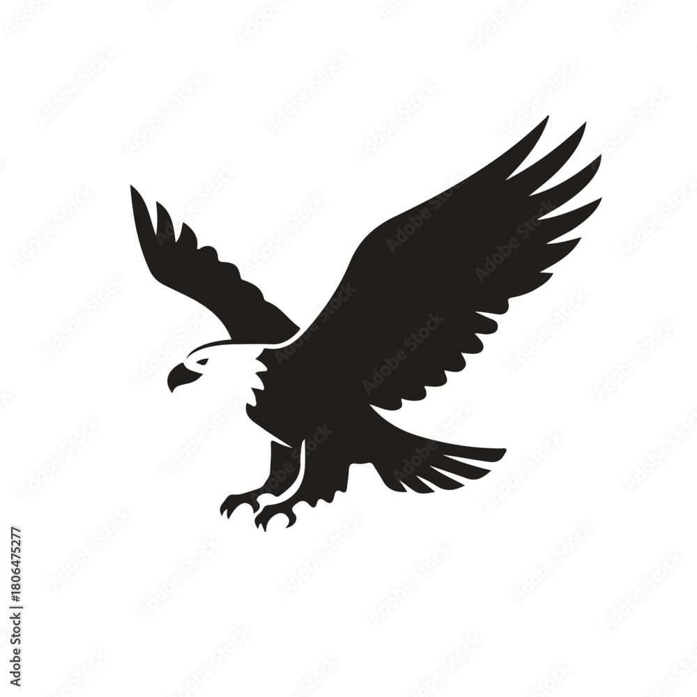 Obraz premium Majestic Black and White Bald Eagle in Flight Silhouette