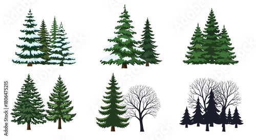 Set of six forest tree compositions, including lush green firs, snow-covered pines, bare winter trees, and dark silhouettes for various seasons.