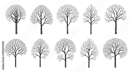 Set of ten stylized leafless trees with rounded canopies, illustrated in a black textured silhouette style for winter or autumn scenes.