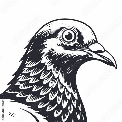 White back ground a black and white illustration of a blue colour pegion face.