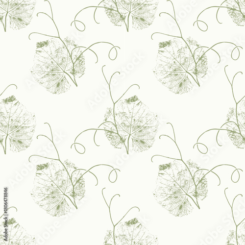 Grapevine imprints pattern, grape leaf with curly tendrils, botanical stamp on white background.
