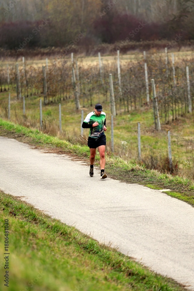 Fototapeta premium Runner on a Paved Path Through a Rural Landscape