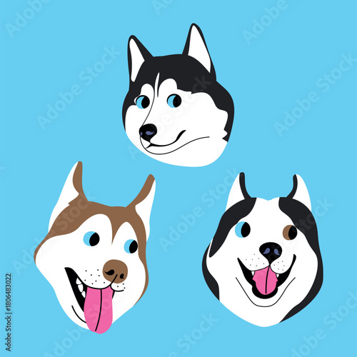 Vector illustration of three funny faces of husky dogs
