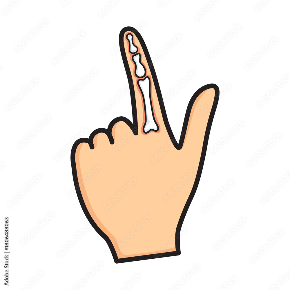 Obraz premium Fingertip bones Image Vector.