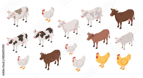 Isometric farm animals: cows and chickens in diverse colors on white background
