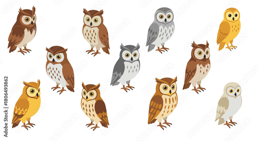 Fototapeta premium Whimsical owl collection in cartoon style featuring diverse species and colors