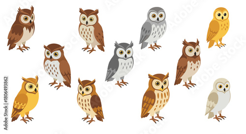 Whimsical owl collection in cartoon style featuring diverse species and colors
