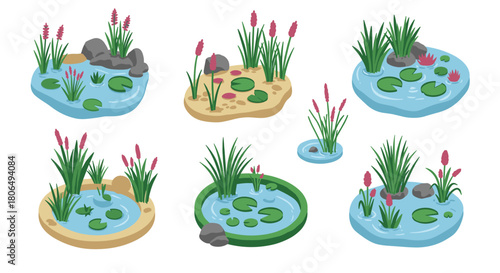 Set of isometric pond elements with lilies and reeds for garden design