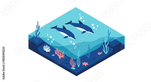 Isometric ocean scene with dolphins and coral reefs in blue tones