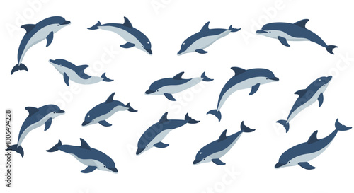Flat design dolphins in various poses on white background