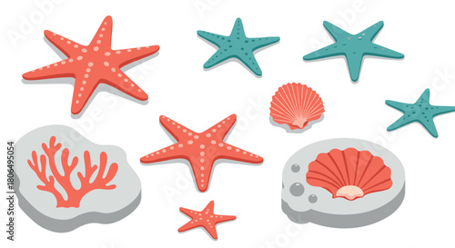 Colorful marine life: starfish and shells in modern flat design
