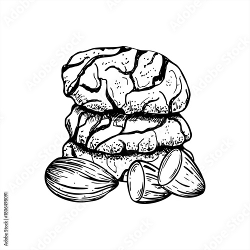 Nut cracked cookies and peeled almond vector isolated illustration painted by black inks. Traditional homemade sweet cookie etching drawing. Hand drawn biscuit stacked line art for Xmas menu, recipe