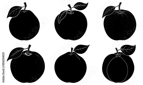A collection of six black and white plums with leaves in varying positions and orientations