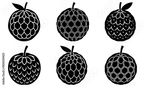 Illustration of six black and white sugar apples with varying scale patterns and leaf details