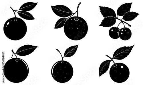 Black silhouette of plums with leaves in various arrangements on a white background illustration design