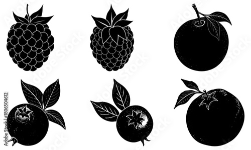 Illustration of various fruits including raspberries blueberries and plums in black and white style