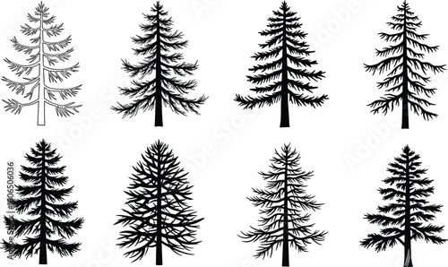 Coniferous tree silhouettes, evergreen shapes, black vector trees, nature graphics, pine and fir icons, forest design elements, isolated tree forms