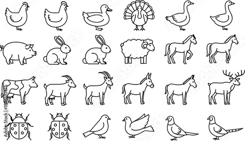 Collection of hand drawn farm animals and insects vector illustration