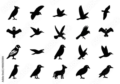 Collection of black bird silhouettes in various poses, including flying and perching. Minimalist vector icon set for graphic design