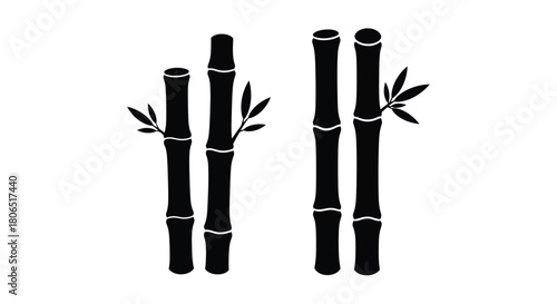 Simple black and white illustration of several bamboo stalks with leaves
