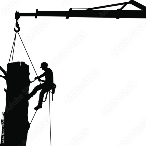 Silhouette of arborist cutting tree with crane support and safety ropes during professional removal operation