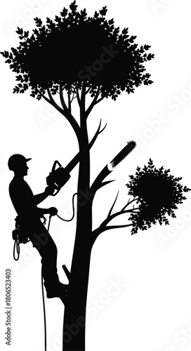 Silhouette of arborist using chainsaw to prune large tree while climbing with safety harness and rope in black and white