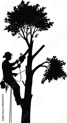 Silhouette of arborist using chainsaw to prune large tree while climbing with safety harness and rope in black and white