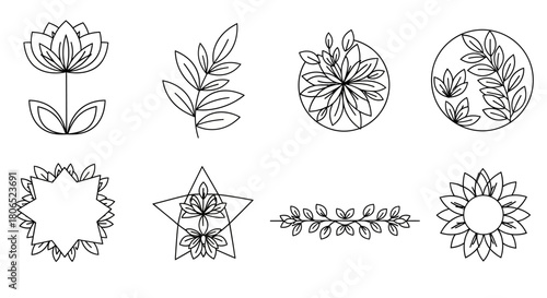 Elegant collection of botanical line art illustrations for decorative purposes or floral designs