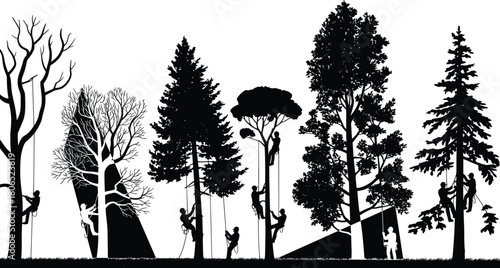 Silhouette of arborists climbing and pruning different types of trees using ropes and safety harnesses