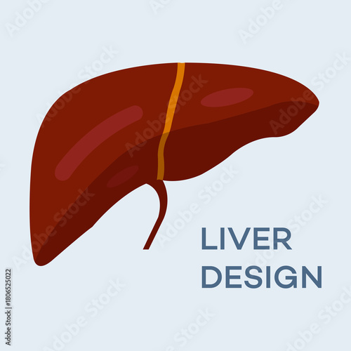 Human Liver Organ Flat Design  Medical Health Illustration