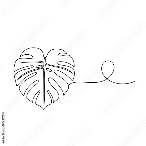 Monstera leaf continuous line drawing isolated on, a tropical plant with distinctive split leaves